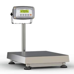 Rinstrum scale with indicator