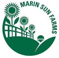 Marin Sun